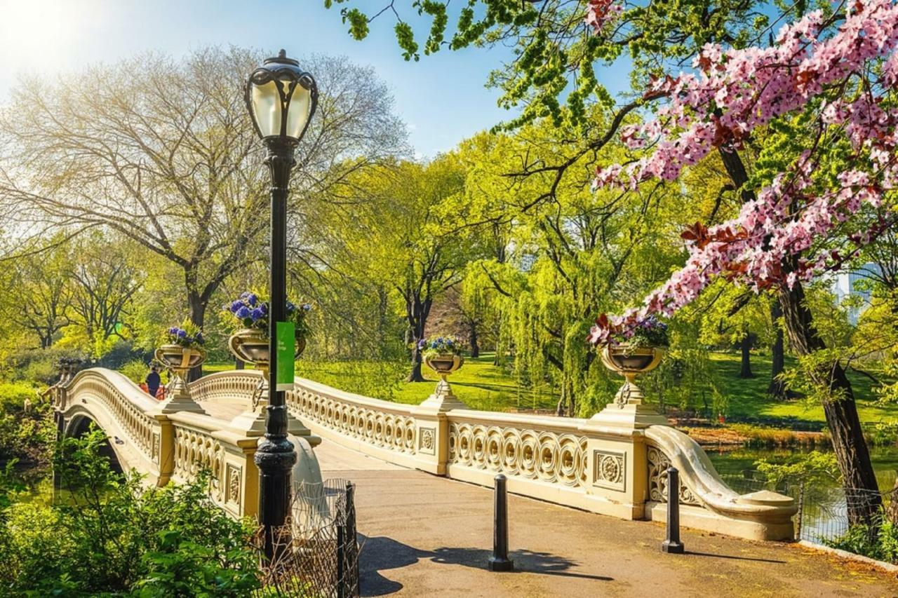 Frederick'S Place - Convenient Condo Walk To Central Park And Columbia University New York Exteriör bild